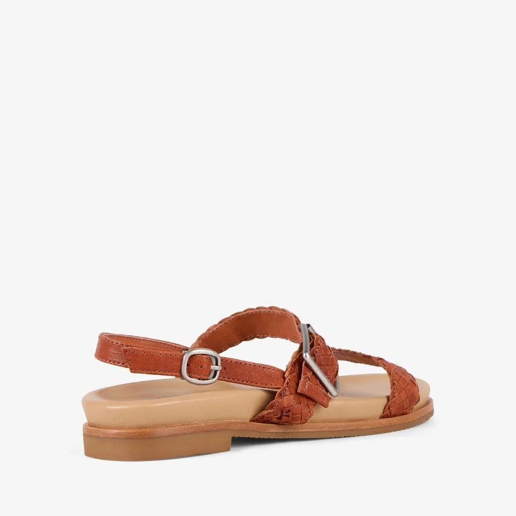 Hyams Donna tan - Image 4